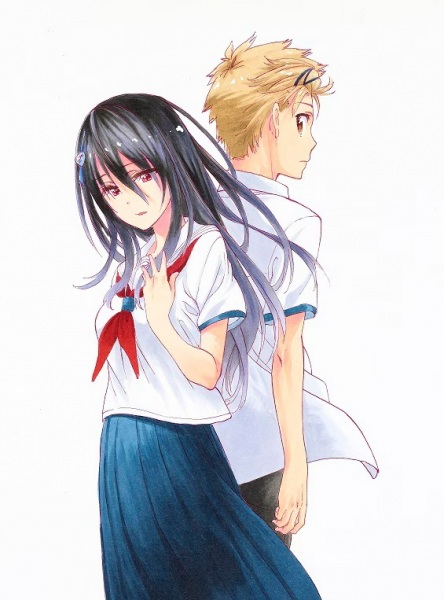 cover