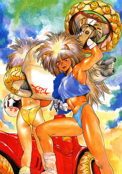 cover