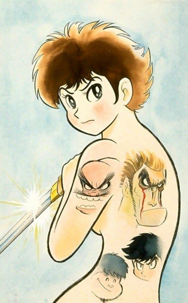 cover